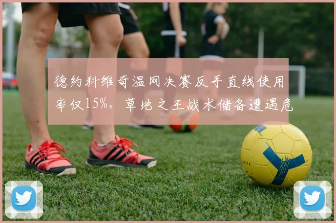 德约科维奇温网决赛反手直线使用率仅15%,草地之王战术储备遭遇危机?